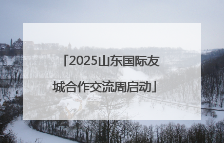 2025山东国际友城合作交流周启动