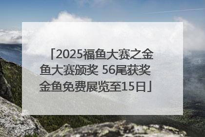 2025福鱼大赛之金鱼大赛颁奖 56尾获奖金鱼免费展览至15日