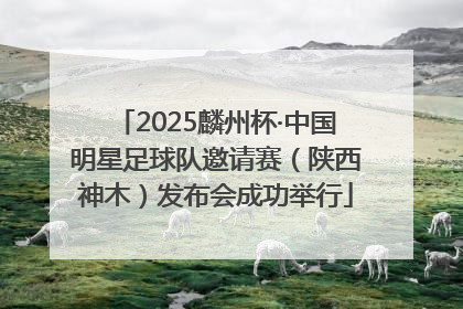 2025麟州杯·中国明星足球队邀请赛（陕西神木）发布会成功举行