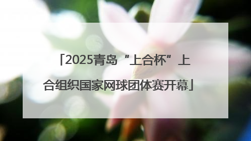 2025青岛“上合杯”上合组织国家网球团体赛开幕