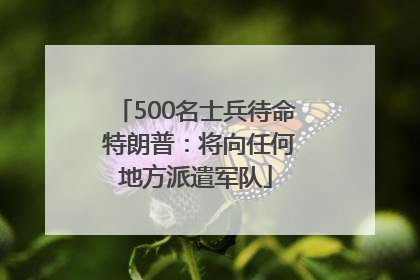 500名士兵待命 特朗普：将向任何地方派遣军队