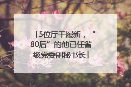 5位厅干履新，“80后”的他已任省级党委副秘书长