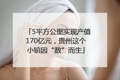5平方公里实现产值170亿元，贵州这个小镇因“数”而生