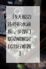 5天根治违停积水顽疾，多部门联动破解居民出行难题