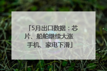 5月出口数据：芯片、船舶继续大涨 手机、家电下滑