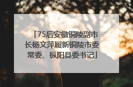 75后安徽铜陵副市长杨文萍履新铜陵市委常委、枞阳县委书记