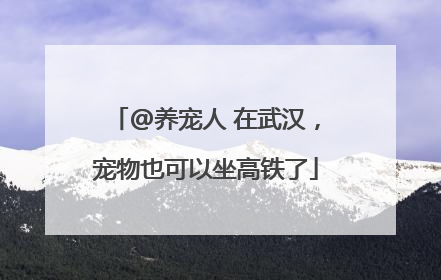 @养宠人 在武汉，宠物也可以坐高铁了
