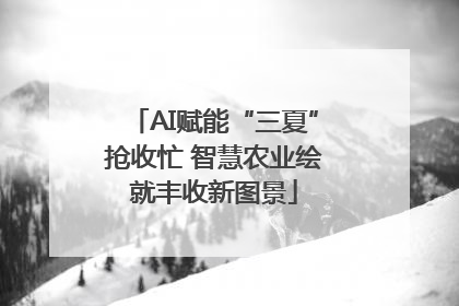 AI赋能“三夏”抢收忙 智慧农业绘就丰收新图景