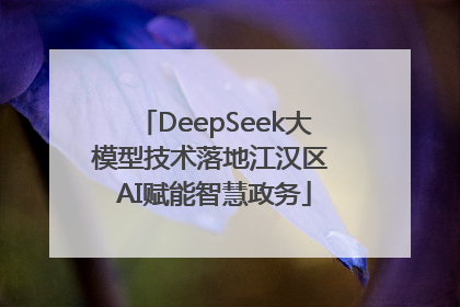 DeepSeek大模型技术落地江汉区 AI赋能智慧政务