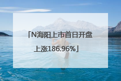 N海阳上市首日开盘上涨186.96%