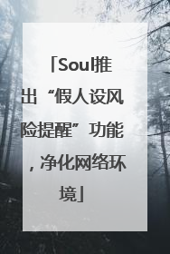 Soul推出“假人设风险提醒”功能，净化网络环境