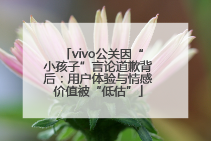 vivo公关因“小孩子”言论道歉背后：用户体验与情感价值被“低估”